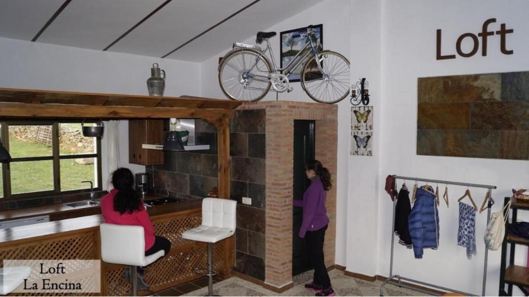 Apartamento Loft La Encina 토레혼엘루비오 외부 사진