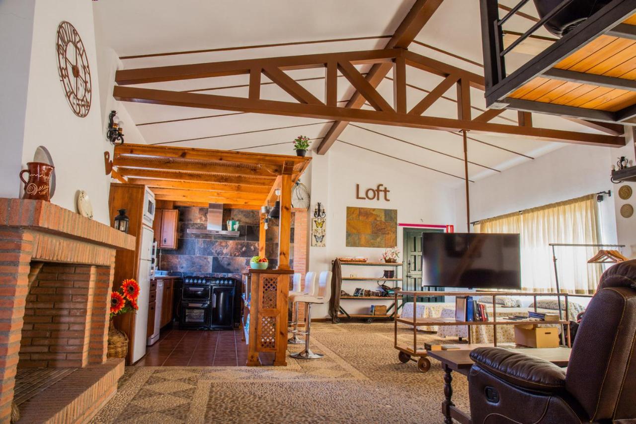 Apartamento Loft La Encina 토레혼엘루비오 외부 사진